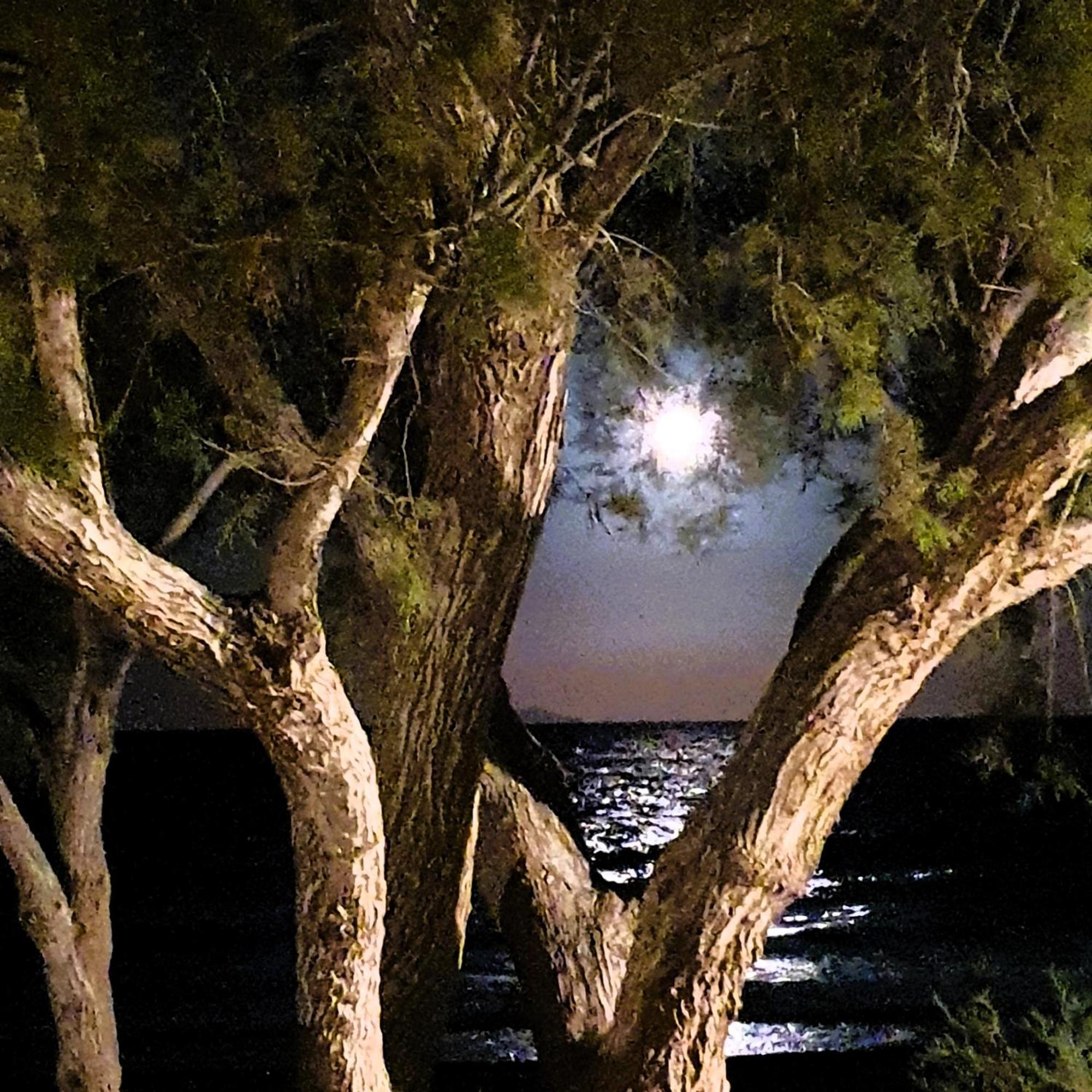 Arion Bay Hotel Santorini Kamári Dış mekan fotoğraf